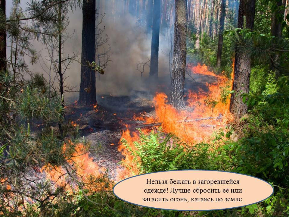 Пожары лесные - большая беда