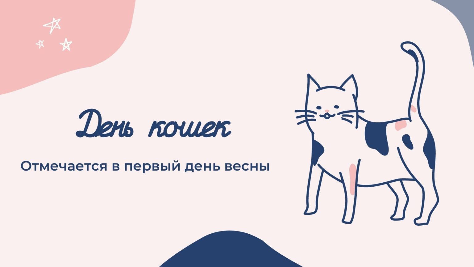 День котиков в россии. Международный день кошек 2022. Всемирный день котиков.