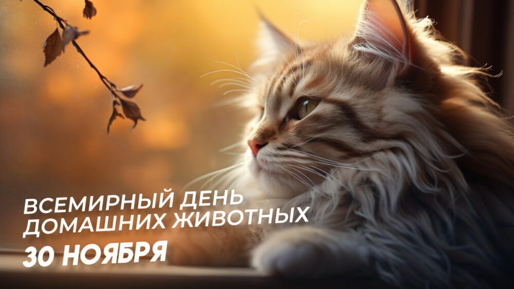 День домашних животных